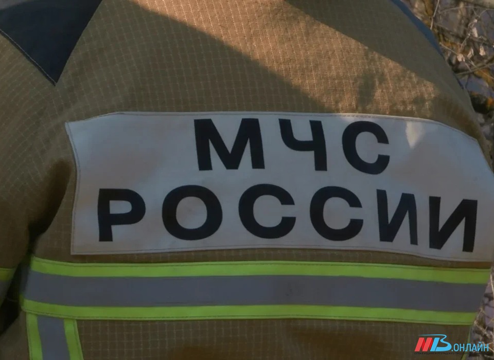 В Волгоградской области сгорела теплица